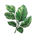 LEAF FLOWER STICKER Premium Vinyl Sticker
