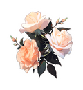 ROSES STICKER Premium Vinyl Sticker