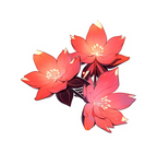 PINK FLORAL STICKER Premium Vinyl Sticker