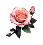 ROSE 2 STICKER Premium Vinyl Sticker