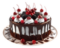 Chocolate Drip Cake Sticker Premium Vinyl Sticker