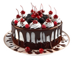 Chocolate Drip Cake Sticker Premium Vinyl Sticker