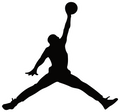 BASKETBALL GOAL STICKER Premium Vinyl Sticker