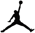 BASKETBALL GOAL STICKER Premium Vinyl Sticker