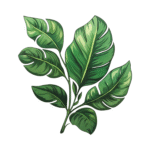 LEAF FLOWER STICKER