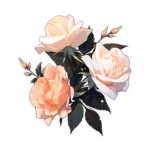 ROSES STICKER