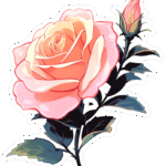 ROSE STICKER