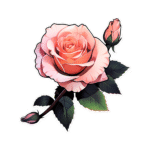 ROSE 2 STICKER