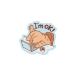 IM OK STICKER
