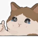 CAT STICKER